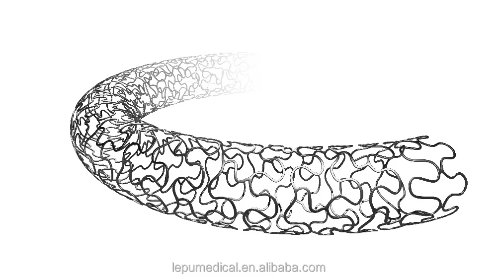 
Nano Polymer-free Sirolimus-eluting Coronary Stent System 