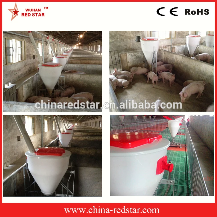 automatic pig feeder trough