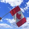 Custom 100% Polyester Plastic Stick Hand Wave Flags