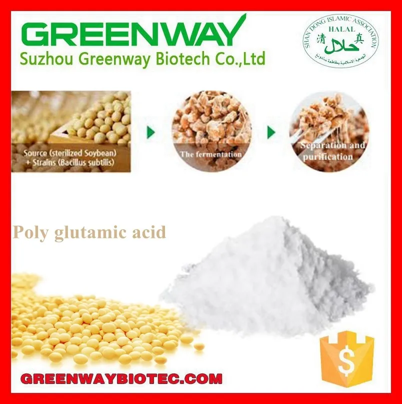 gamma poly glutamic acid.jpg