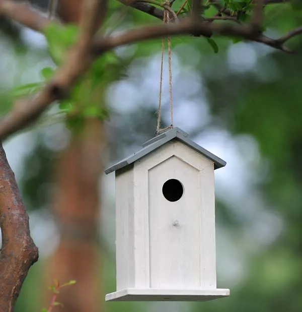 Zpgd 171502 Funny Decorative Painting Wooden Bird Houses Handmade