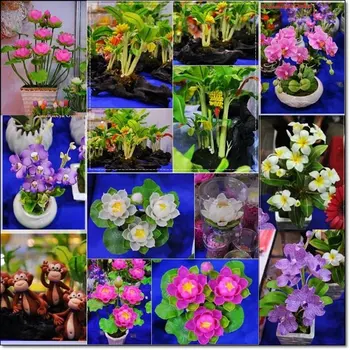 ミニ蓮の ミニチュア粘土の花 Buy 蓮 ミニチュア ミニチュア 粘土の花 Product On Alibaba Com