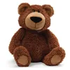 camera toy bear/recording plush toy bear/best selling toy plush
