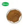 Pure natural free sample Gynura divaricata extract