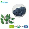 Natural Herbal Powder Indigowoad Root Extract