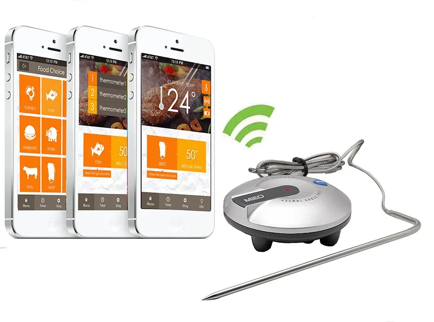 Bluetooth thermometer.jpg