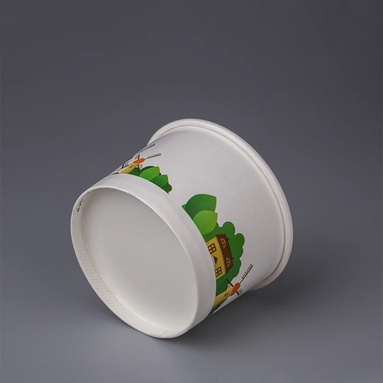 Widely Used Recycled Foldable Paper Food Platter Box