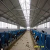 High Quality China Prefab Cow Shed Frame Cattle House Steel Structure