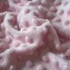 Heat-Insulation Feature and 100% Polyester Material polar minky