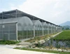 ISO Certification Arched Type PC Sheet greenhouse use for farm