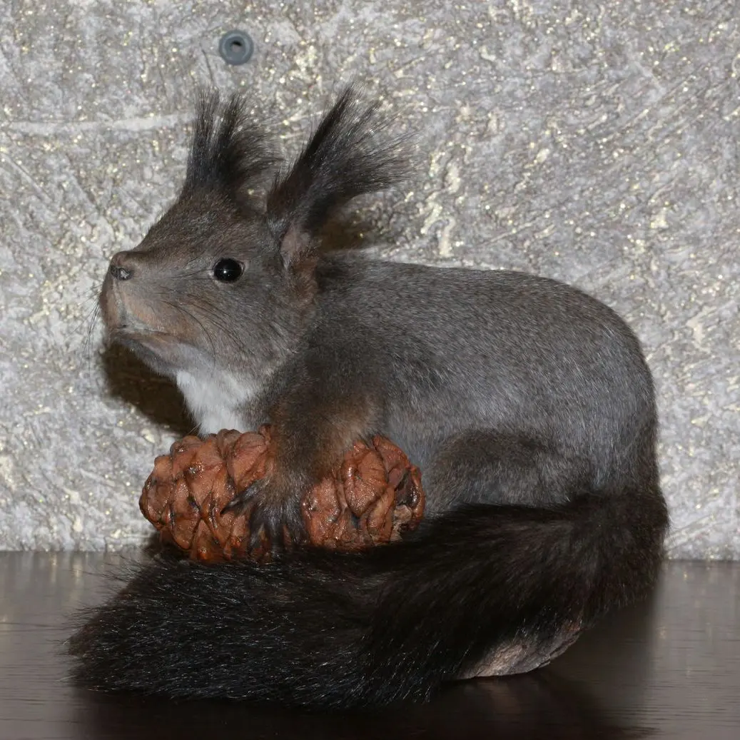 gray squirrel stuffed animal