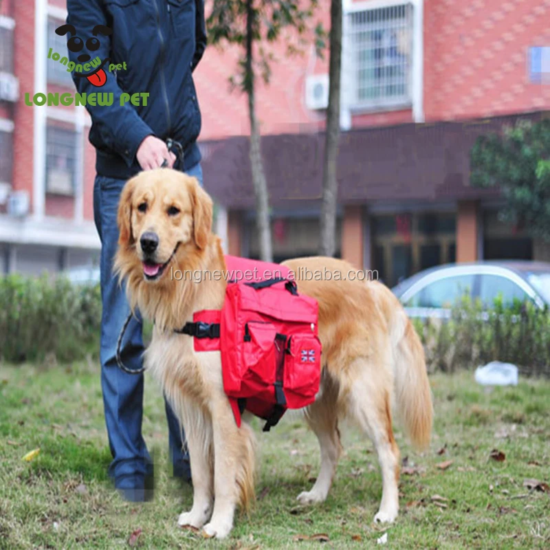 golden retriever backpack