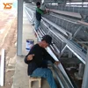 Free Testing Modern Automatic Battery Cage for Layer Chicken