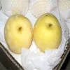 Crown pear hot sale with best quality and price