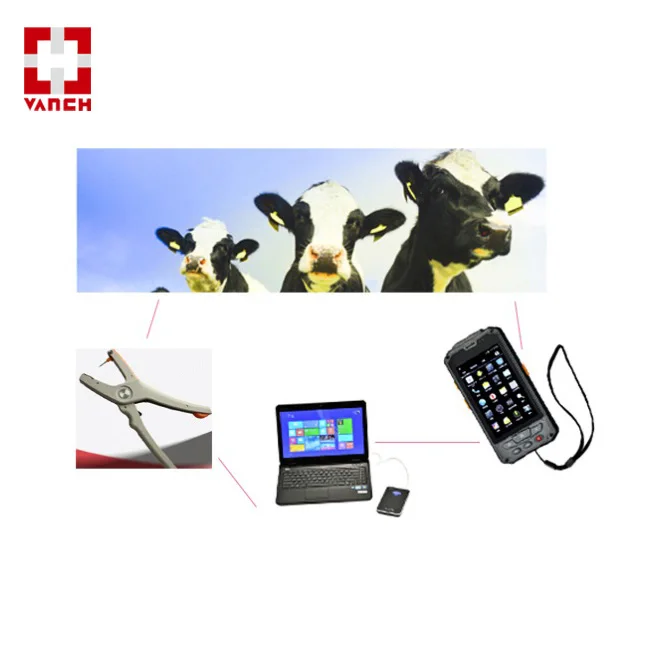 animal tracking 7.jpg