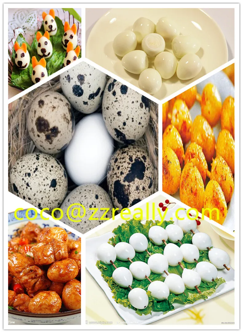 Quail Egg Boiling Peeling Shelling Production Line Automatic Quail Egg