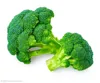 Frozen vegetables IQF Quick Frozen Broccoli