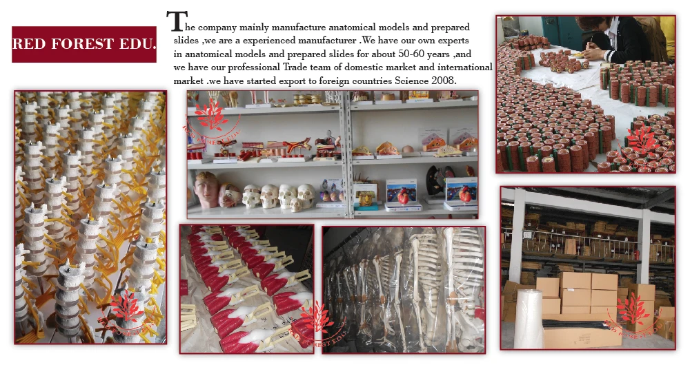 company & workshop.jpg