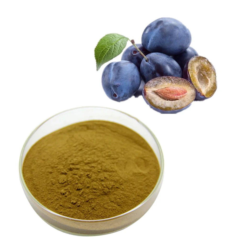 high quality 10:1 prune extract powder