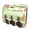 plastic flower seed trays tomato seedling greenhouse Sweet pepper seeds label pot set