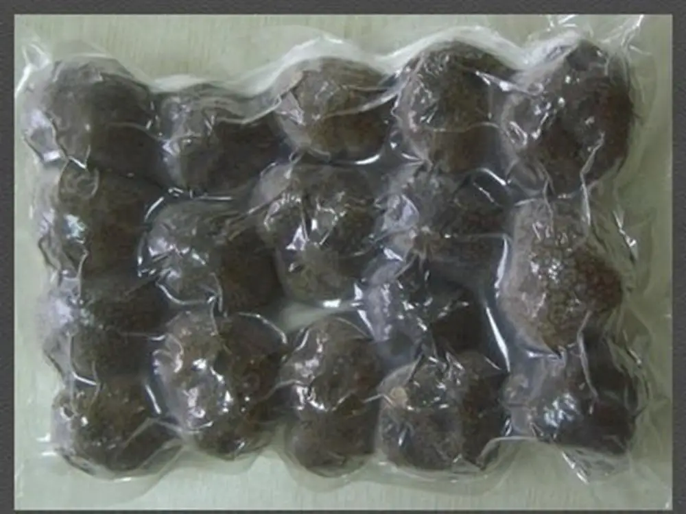 Fresh Truffle Fresh Tuber Indicum Buy Fresh Desert Truffles iqf