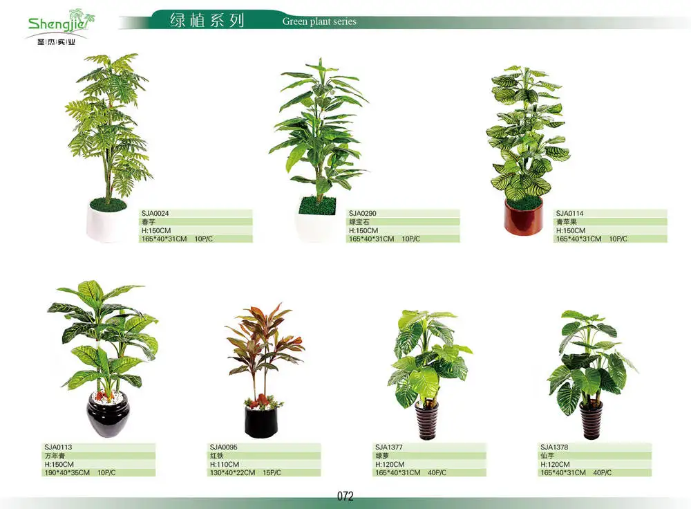 Plant series