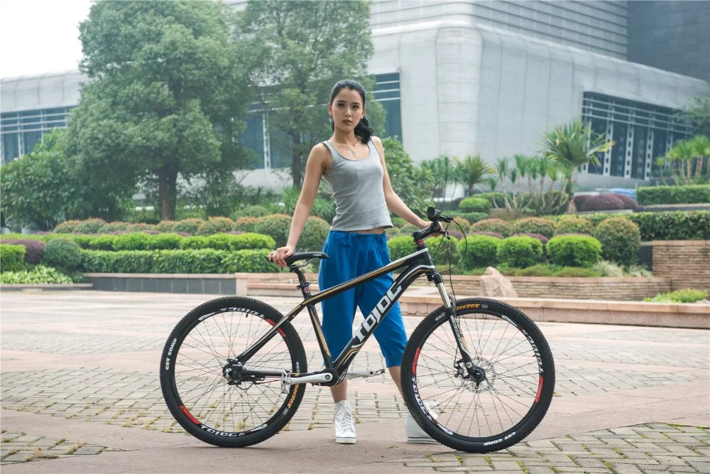 shaft driven bicycles for sale