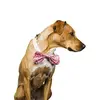 Tail Trends Dog Floral Bow Tie Collar Slider for Teacup to Medium and Large L