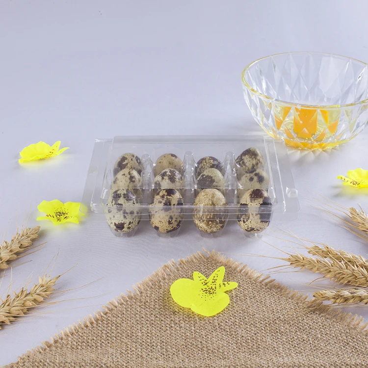 12 Holes Quail Egg Tray Packing Clear Disposable Plastic Quail Egg Tray