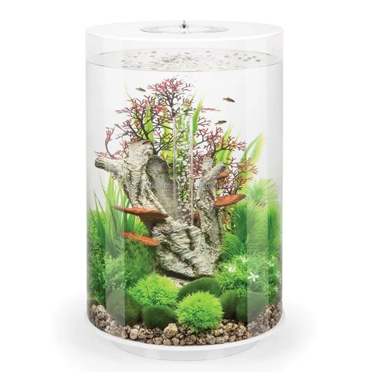 Customize Transparent Plexi Glass Round Fish Tank Clear Acrylic Round