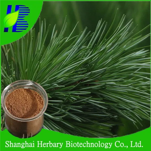 pine needle extract