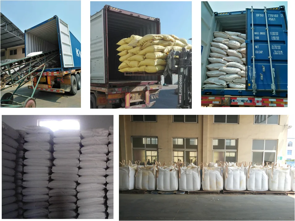 paste-pic-dp_uuid_e6v66