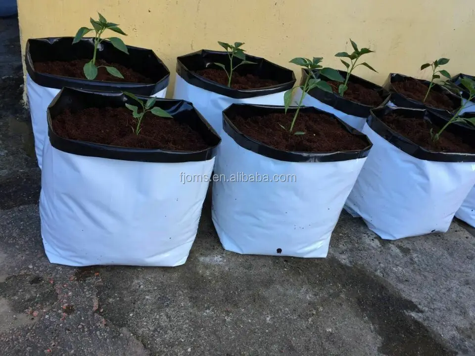 1gallon Poly Plastic Grow Bags For Tomatoes Buy Plastic Grow Bags