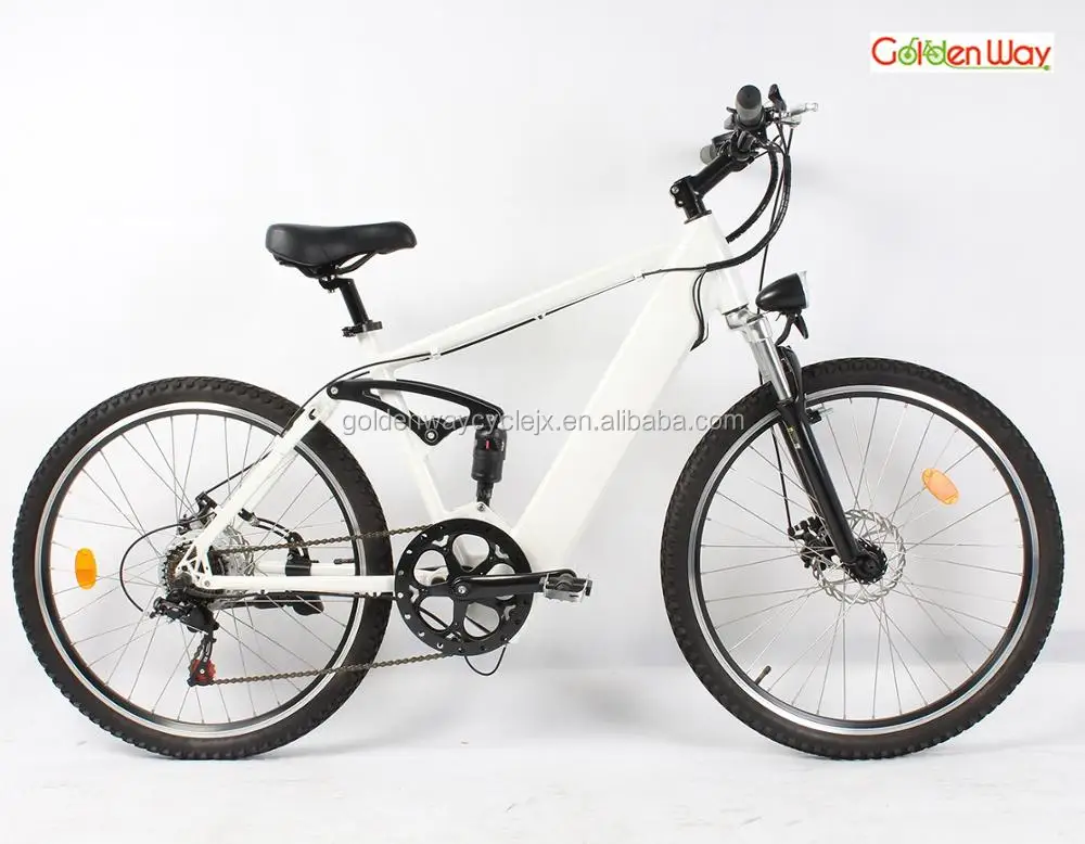 magnum electric bike battery