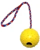 /product-detail/large-dog-training-rope-toy-rubber-dog-chew-ball-60492249902.html