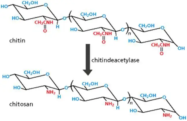Glucosamina condroitina efectos secundarios Glucosamina condroitina efectos secundarios