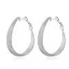 Fashionable fashionable style silver act the role of glitter wide edition earring originality exaggerated foreign trade earring