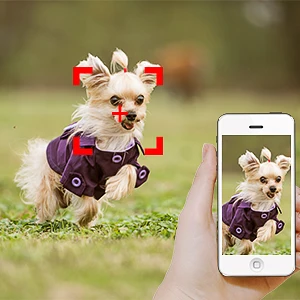 wifi speed dome camera