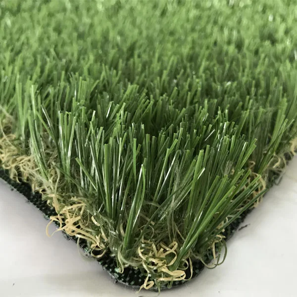 A88 grass.jpg