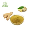 Dried Ginger Extract Powder Price/Zingiber Officinale (Ginger) Root Extract for Food Gingerol Supplement