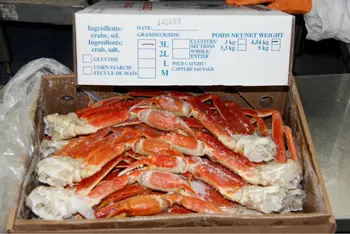 King Crab Size Chart