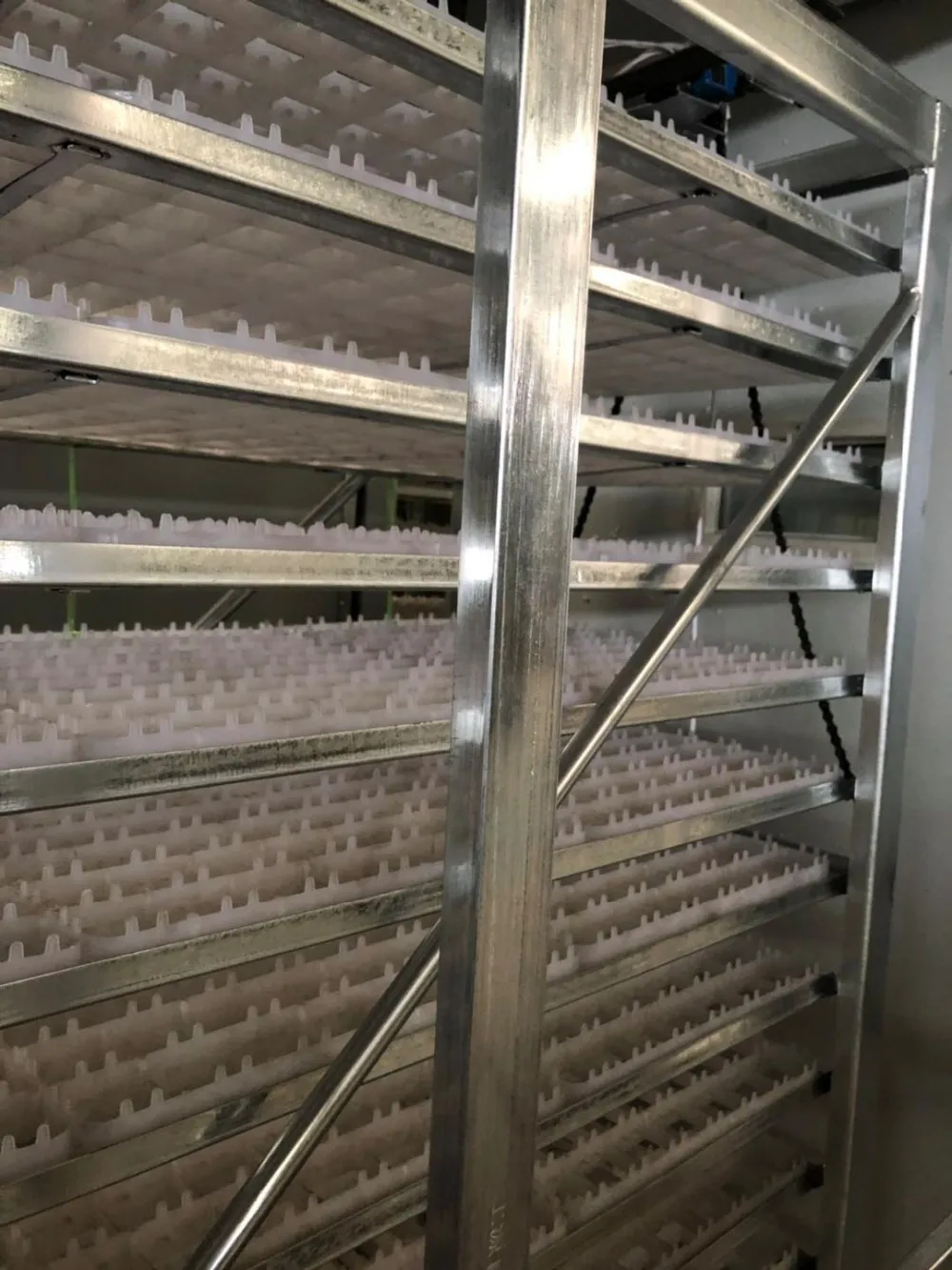 19000 eggs solar energy egg incubators sales in Dezhou