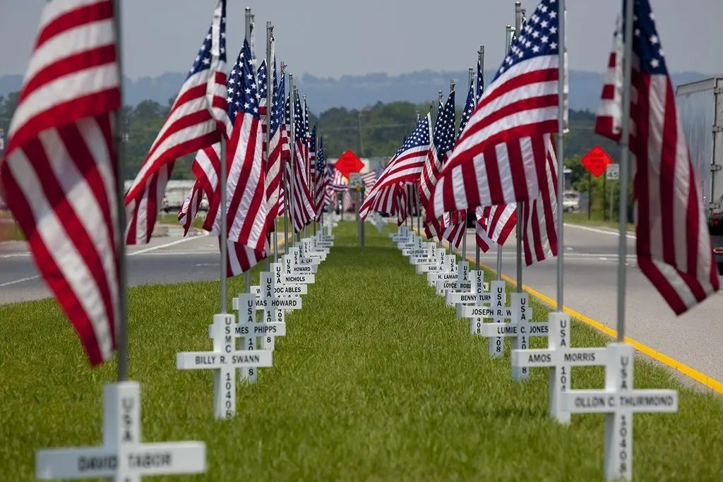 Fly flags