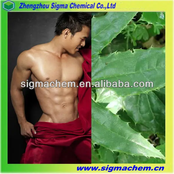 17Potent Male Sexual Enhancement Epimedium P.E..jpg