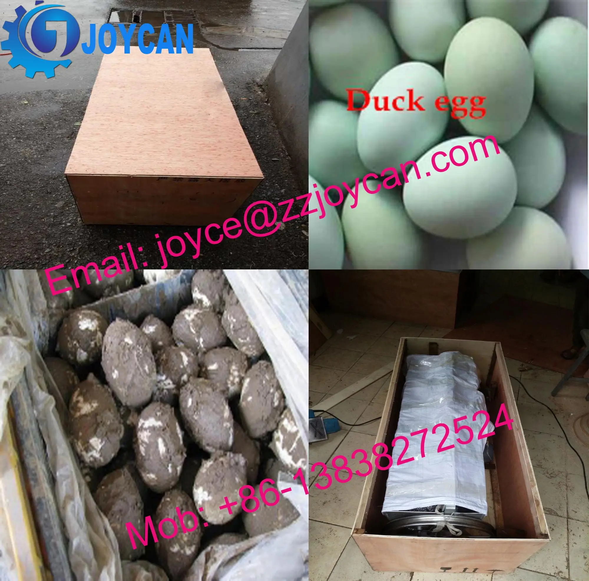 Industrial Egg Washing Machine Stainless Steel Egg Clean Machine Buy
