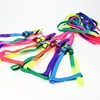 Small Puppy Cat Rabbit Kitten Nylon Leash Harness Collar Lead Adjustable Rainbow color Pet Dog Leash