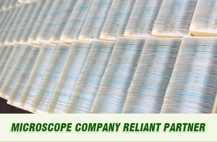 011 Botany Microscope Prepared Slides