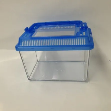 Echantillon Gratuit Mini Plastique Aquarium Poisson Reservoir Avec