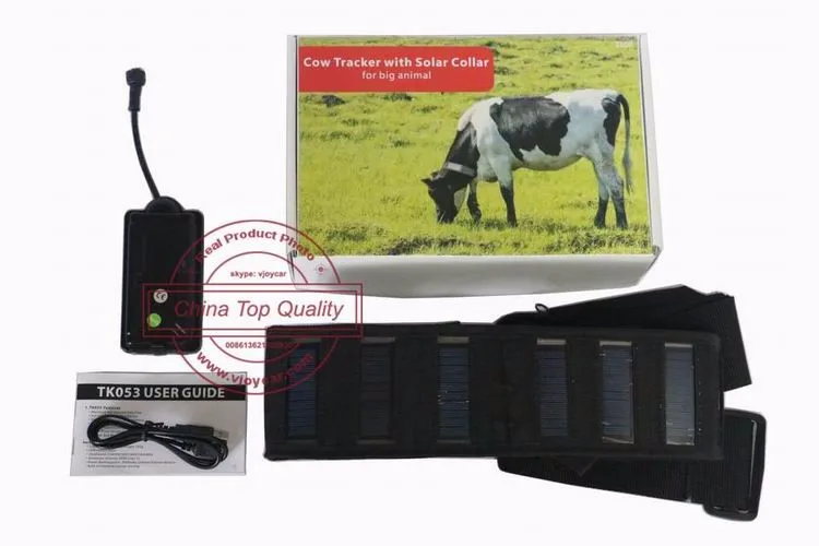 cattle gps collars