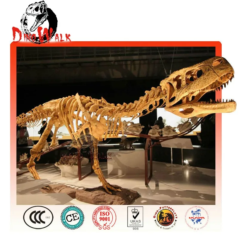 life size dinosaur skeleton replicas for sale